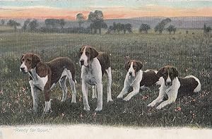 Ready For Sport Fox Hunting Dogs Antique Dog Thin Plain Postcard
