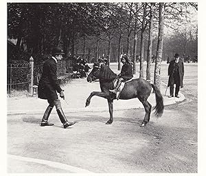 French Horse Training Street Riding in 1912 Equestrian Photo Postcard