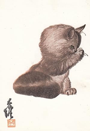 Chinese Cat Kitten David Kwok Giant Head Tickling Nose Rare Postcard