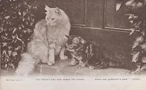 Mother & Kitten I For Me There's Nase Luck Olde English Talking Cat Postcard