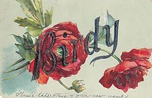 A Name Called Birdy With Flowers Greetings Old Postcard