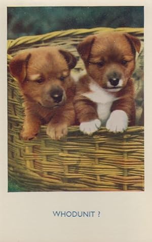 Whodunnit Dog Detective Dogs Comic Postcard