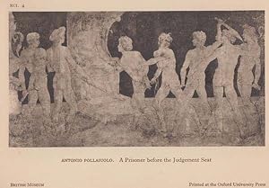 Antonio Pollaiuolo A Prisoner Before The Judgement Sect Painting Museum Postcard