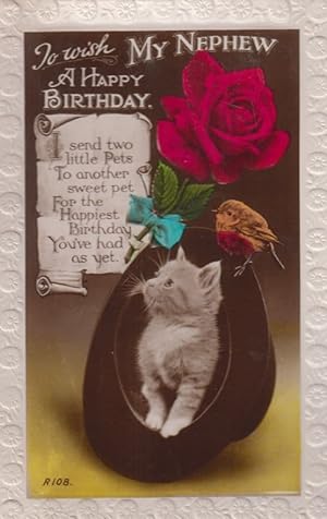 Nephew Cat Kitten In Top Bowler Hat Wren Birthday Antique Real Photo Postcard