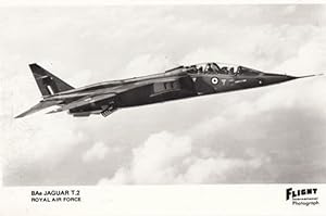 BAE Jaguar T2 RAF Military Plane Postcard