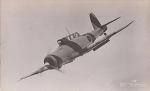 Blackburn Skua Military Plane Vintage Plain Back Postcard Old Photo