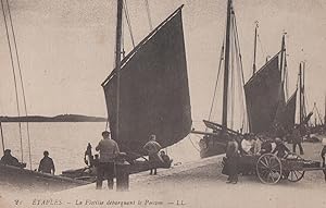 Etaples France French Fishing Poisson Boat Boats with Fish Old French Postcard