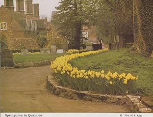 Quainton Buckinghamshire Spring Daffodils Womens Institute Postcard