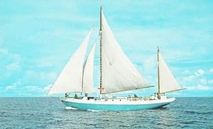 Yacht Boat Ecstacy Goddard Service Marine West Indies Hotel Rare 1960s Postcard