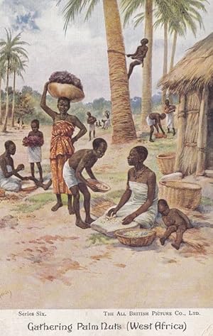 Life In Africa An African Village Palm Nut Nuts Trees Antique Oilette Postcard