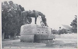 Horse Memorial Perdemonument South Africa Real Photo Postcard