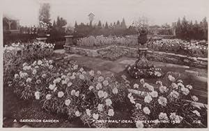 A Carnation Garden Daily Mail 1928 Ideal Home Exhibition Real Photo Old Postcard