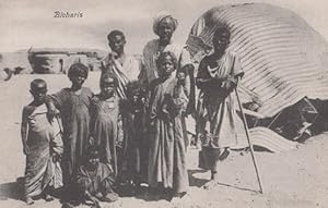 Bicharis Family Egyptian Village Antique Postcard