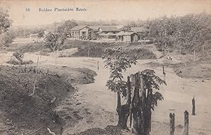 Indian Rubber Plantation Estate Old Postcard