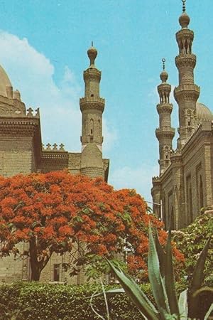 Sultan Hassan El Rifai Mosques Cairo Egypt Rare Egyptian Postcard