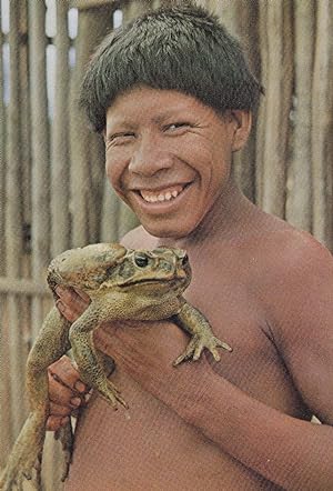Xingu National Park Kaiopalo Indian With Amazonic Frog Africa Postcard