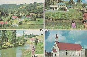 Puhoi Bohemian Village from Staab Prague Church Natives New Zealand Postcard