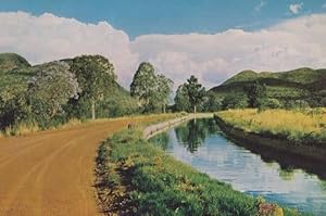 South African Irrigation Canal Transvaal Postcard