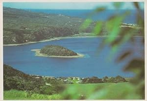 The Island Lake Wilderness Cape South Africa Postcard