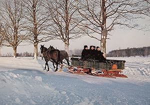 Ontario Mennosite Family on Way Home in Elmira Snow Plough Canadian Postcard