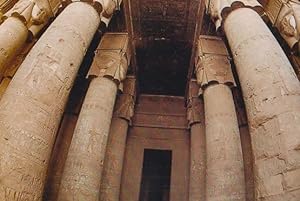 Papyrus Columns In Luxor Temple Egypt Rare Egyptian Postcard
