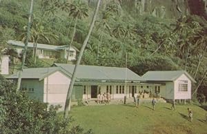 Children Playing at Pitcairn Island School Vintage Postcard