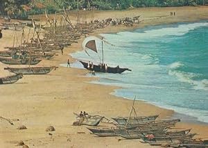Sri Lanka Catamarans Dug Out Fishing Boat Fish Boats Postcard