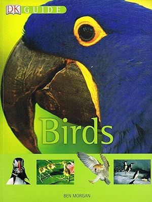 Birds :