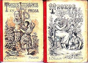 COLECCIÓN ESCOGIDA DE TROZOS LITERARIOS DE AUTORES ESPAÑOLES Y AMERICANOS EN PROSA Y VERSO. PRIME...