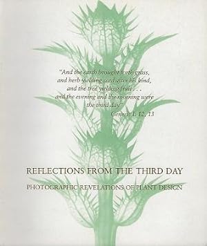 Reflections From the Third Day - photographic revelations of plant design