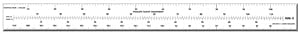 NNM030 NM-3 (16 inches) Pooleys Navigation Scale Ruler