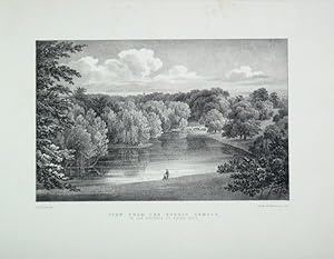 A Fine Original Antique Lithograph By G. F. Prosser Illustrating Pains Hill (a View from the Goth...