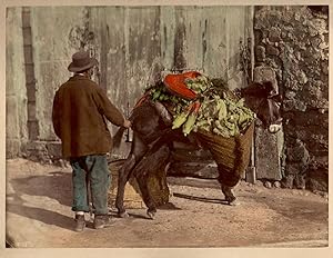 [Venditore ambulante di verdura con asino] / [Street vendor of vegetables with donkey]
