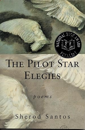 THE PILOT STAR ELEGIES