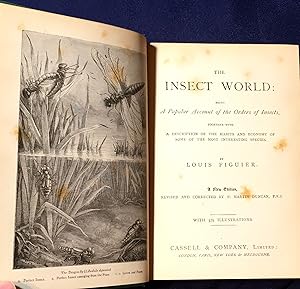 THE INSECT WORLD; and A Popular Account of the Order of Insects, / Together with a Description of...