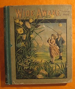 Wide Awake Pleasure Book