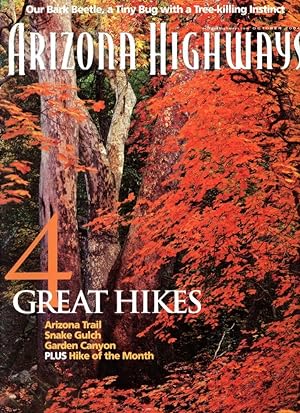 ARIZONA HIGHWAYS : Oct., 2004 : GREAT HIKES : Vol. 80, No. 10