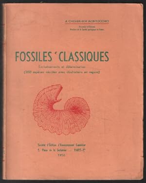 Fossiles classiques
