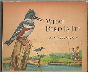 What Bird Is It?