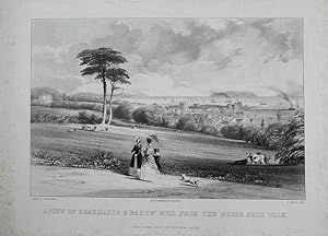 An Original Antique Lithograph Illustration of 'A View of Beaumaris & Barow Hill from the Horse S...