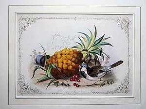 Pineapple and Plums
