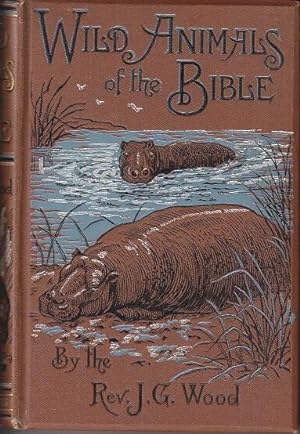 Wild Animals of the Bible From "Bible Animals"