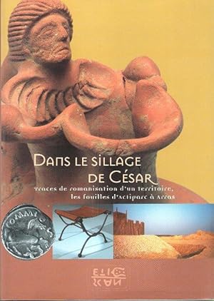 Dans Le Sillage De César : Traces De Romanisation D'un Territoire , Les Fouilles d'Actiparc à Arr...