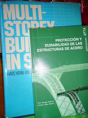 PROTECCIÓN Y DURABILIDAD DE LAS ESTRUCTURAS DE ACERO (CON SUBRAYADOS) + MULTI-STOREY BUILDINGS IN...