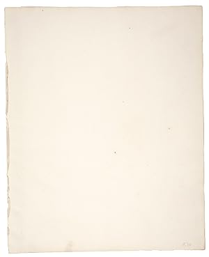 Sheet of blank wove paper