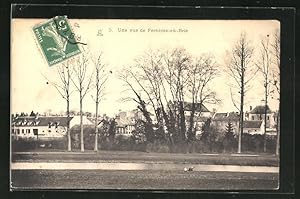 Carte postale Ferrieres-en-Brie, vue partielle
