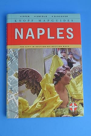 Naples: The City in Section-by-Section Maps