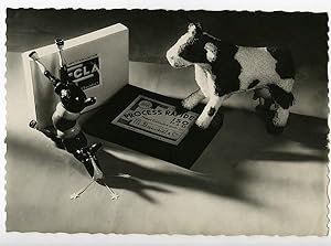 France Advertising RPPC Bauchet Photographic Products 1950