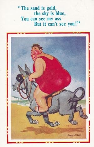 Fat Lady Riding Donkey Huge Bum Rodeo Ride On Beach Diet Comic Humour Postcard