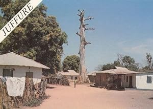 Juffure Gambia Tribal Houses African Gambian Postcard